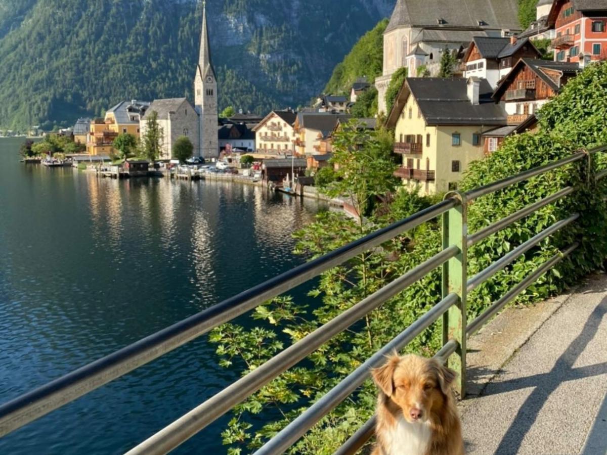 Pension Leopoldine Acomodação com café da manhã Hallstatt Exterior foto